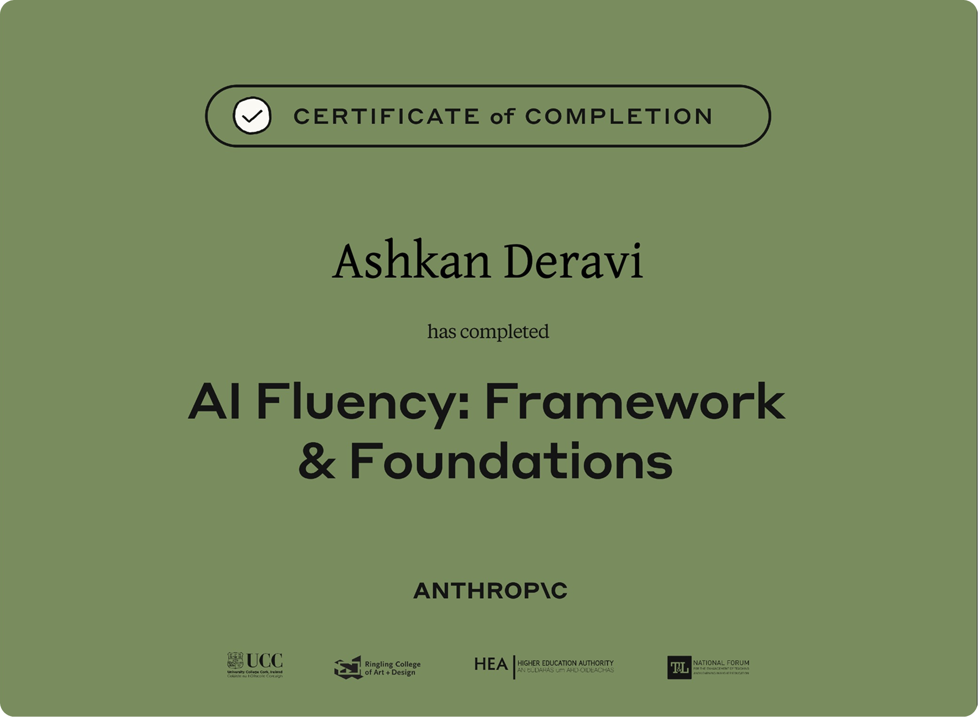 Anthropic  Al Fluency